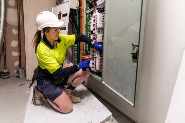 Best Electric Panel Repair  in Buena Vista, VA